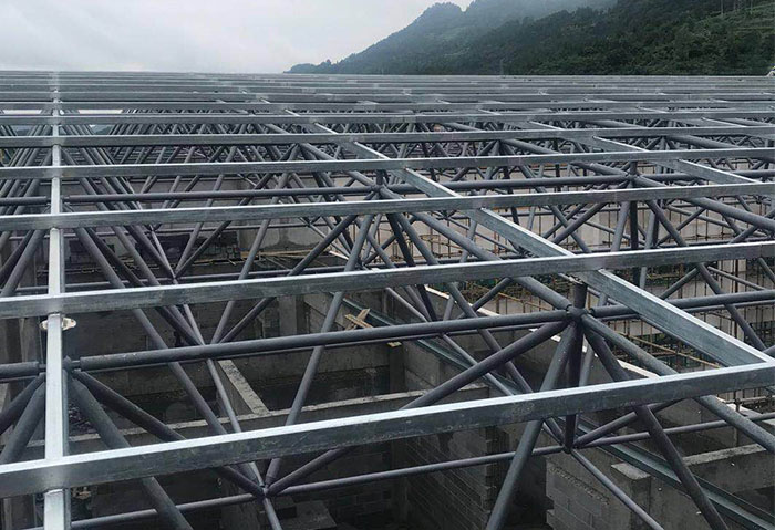 浦东学校艺体楼网架
